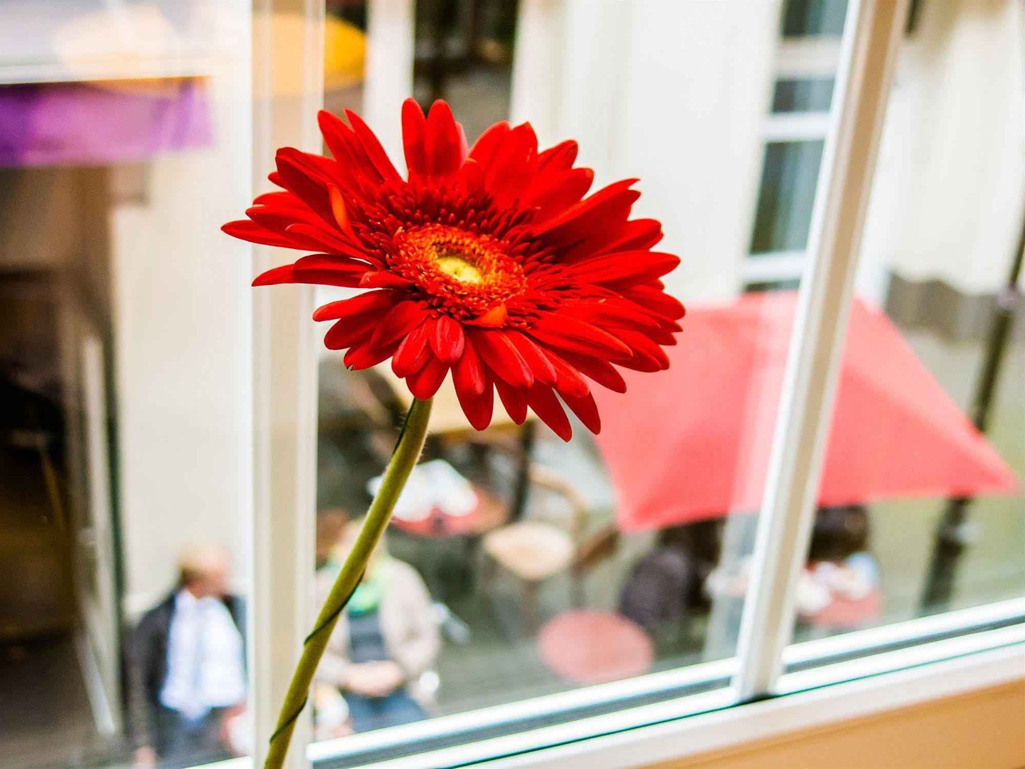 The Soho Altstadt Hotel 뒤셀도르프 외부 사진